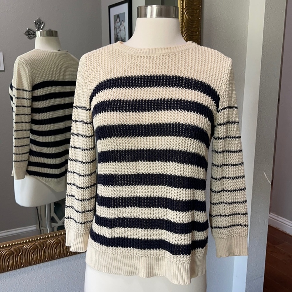 Ann Taylor Blue and Cream Crew Neck Sweater